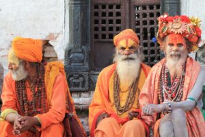 What are the different types of culture seen in India